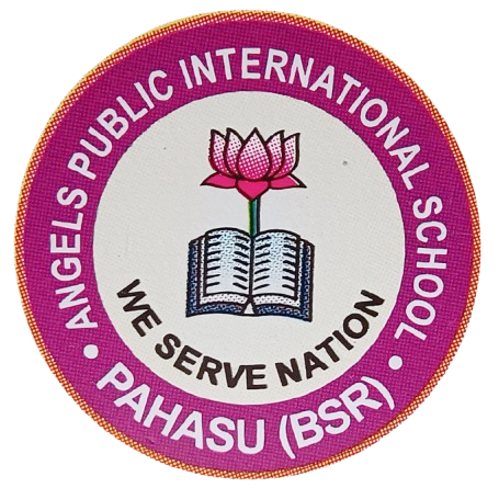Angels Public International School